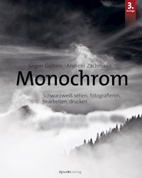 Monochrom - Jürgen Gulbins - E-Book
