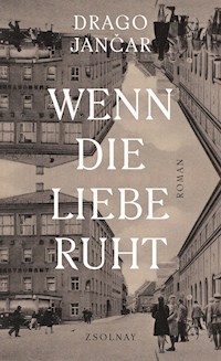 Wenn die Liebe ruht - Drago Jancar - E-Book