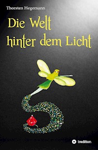 Die Welt hinter dem Licht - Thorsten Hegemann - E-Book