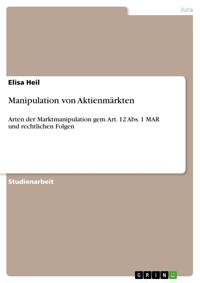 Manipulation von Aktienmärkten - Elisa Heil - E-Book