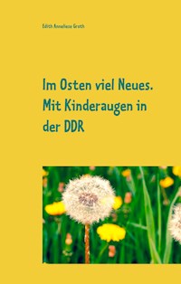 Im Osten viel Neues - Edith Anneliese Groth - E-Book