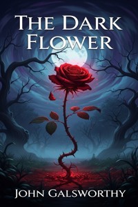 The Dark Flower - John Galsworthy - E-Book