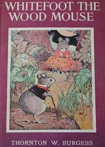 Whitefoot the Wood Mouse - Thornton W. Burgess - E-Book
