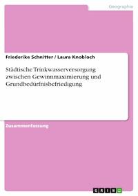 Städtische Trinkwasserversorgung zwischen Gewinnmaximierung und Grundbedürfnisbefriedigung - Friederike Schnitter - E-Book