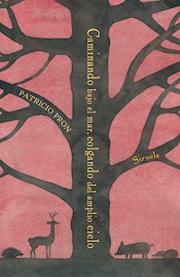 Caminando bajo el mar, colgando del amplio cielo - Patricio Pron - E-Book
