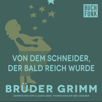 Von dem Schneider, der bald reich wurde - Brüder Grimm - Hörbuch