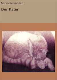 Der Kater - Mirko Krumbach - E-Book