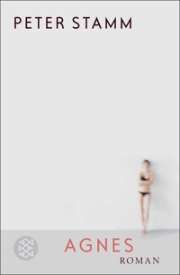 Agnes - Peter Stamm - E-Book