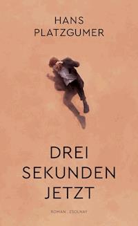 Drei Sekunden Jetzt - Hans Platzgumer - E-Book