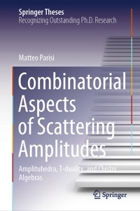 Combinatorial Aspects of Scattering Amplitudes - Matteo Parisi - E-Book