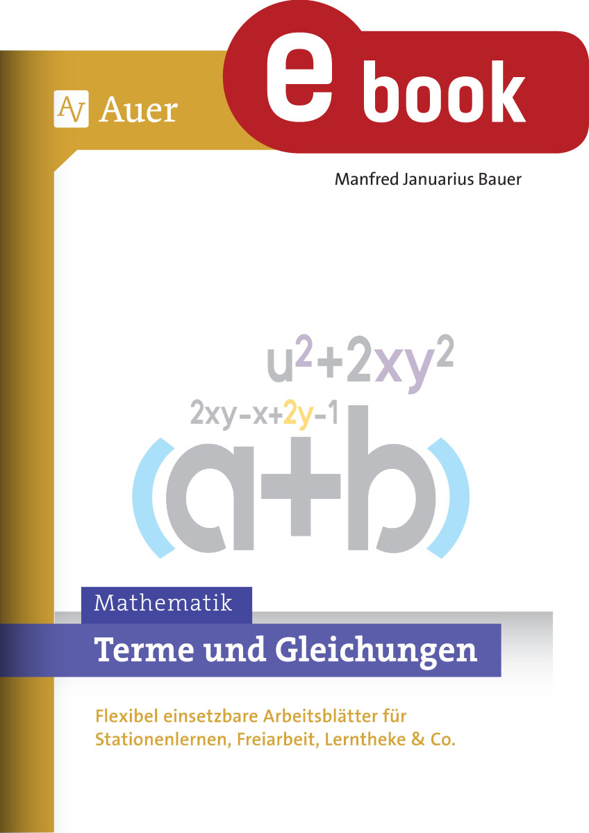 Terme und Gleichungen - Manfred Januarius Bauer - E-Book