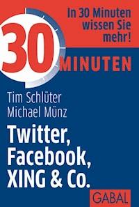 30 Minuten Twitter, Facebook, XING & Co. - Tim Schlüter - E-Book