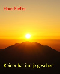 Keiner hat ihn je gesehen - Hans Riefler - E-Book