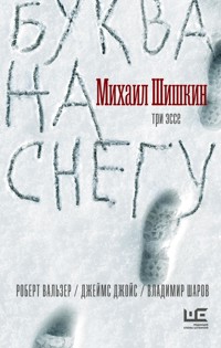 Буква на снегу - Михаил Шишкин - E-Book