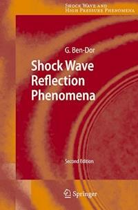 Shock Wave Reflection Phenomena - Gabi Ben-Dor - E-Book