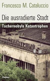 Die ausradierte Stadt - Francesco M. Cataluccio - E-Book
