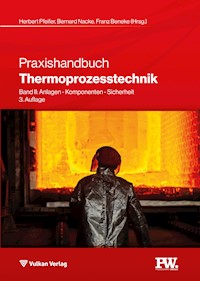 Praxishandbuch Thermoprozesstechnik -  - E-Book