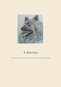 Deutsche Spitze: (Nicht ganz) vergessen und doch geliebt - A. Ketschau - E-Book