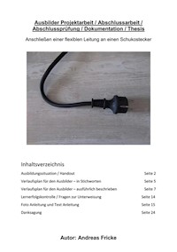 Ausbilder AEVO  Projektarbeit / Abschlussarbeit / Abschlussprüfung / Dokumentation / Thesis - Andreas Fricke - E-Book