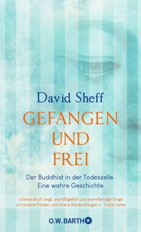 Gefangen und frei - David Sheff - E-Book