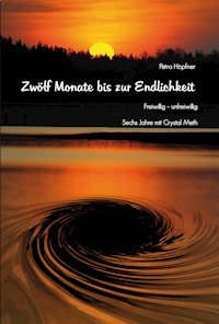 Zwölf Monate bis zur Endlichkeit - Petra Höpfner - E-Book