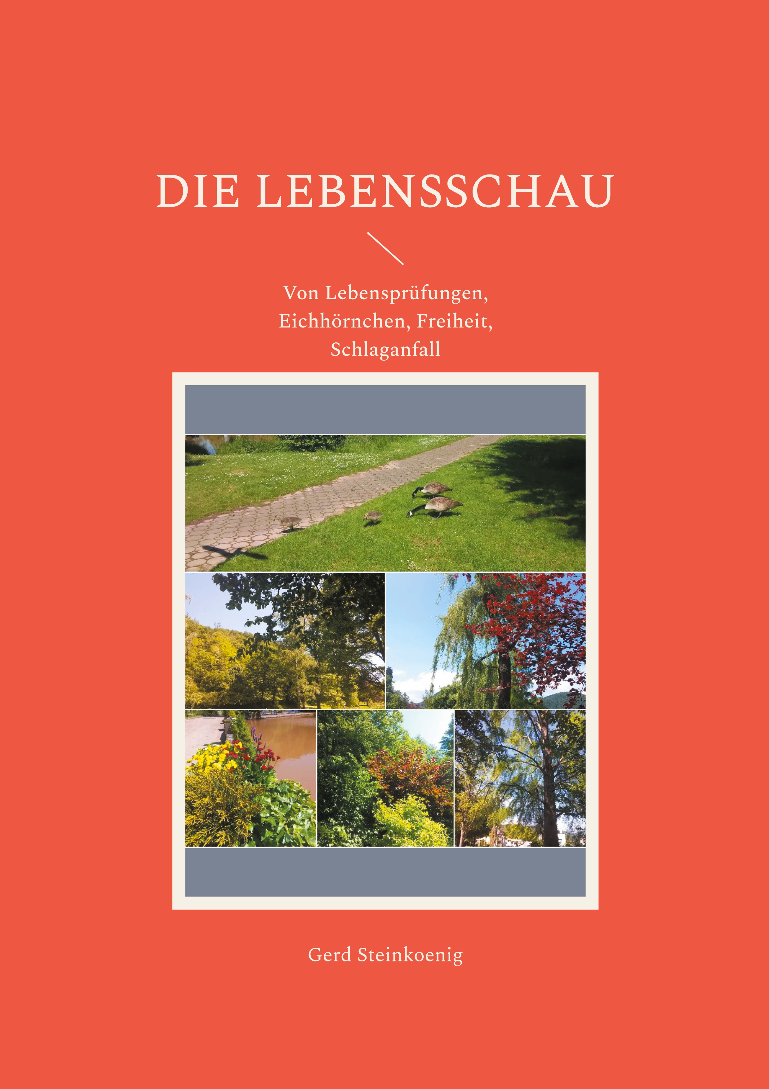 Die Lebensschau - Gerd Steinkoenig - E-Book
