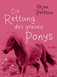 Die Rettung des grauen Ponys - Örjan Persson - E-Book