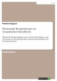 Horizontale Kooperationen im europäischen Kartellrecht - Patrick Gageur - E-Book