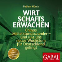Wirtschaftserwachen - Fabian Hänle - Hörbuch