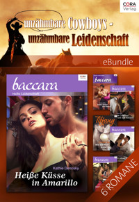 Unzähmbare Cowboys - unzähmbare Leidenschaft - Ruth Jean Dale - E-Book