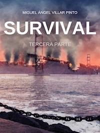Survival: Tercera Parte - Miguel Ángel Villar Pinto - E-Book