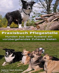 Praxisbuch Pflegestelle - Sabine Gert-Schlühr - E-Book