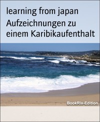 Aufzeichnungen zu einem Karibikaufenthalt - learning from japan - E-Book