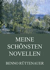 Meine schönsten Novellen - Benno Rüttenauer - E-Book