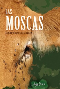 Las moscas - Edgar Brizuela Zuleta - E-Book