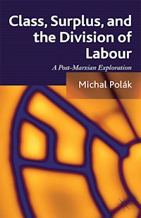 Class, Surplus, and the Division of Labour - M. Polák - E-Book