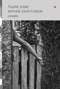 Nadie sabe dónde estuvimos - Luis Benítez - E-Book