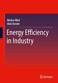 Energy Efficiency in Industry - Markus Blesl - E-Book