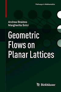 Geometric Flows on Planar Lattices - Andrea Braides - E-Book