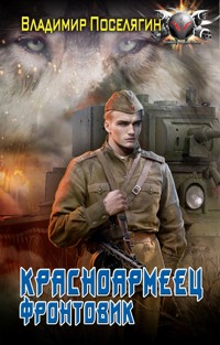 Красноармеец. Фронтовик - Владимир Поселягин - E-Book