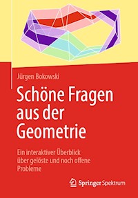 Schöne Fragen aus der Geometrie - Jürgen Bokowski - E-Book