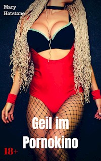 Geil im Pornokino - Mary Hotstone - E-Book
