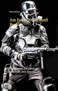Am Ende der Vernunft Buch 4 - Bianca Oesterle - E-Book