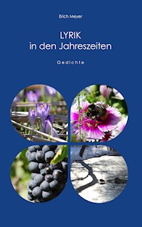 Lyrik in den Jahreszeiten - Erich Meyer - E-Book