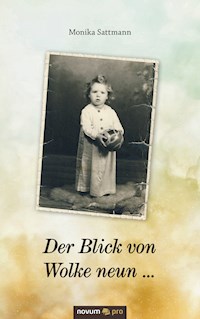 Der Blick von Wolke neun ... - Monika Sattmann - E-Book