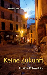 Keine Zukunft - Andreas Heßelmann - E-Book
