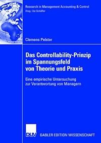 Das Controllability-Prinzip im Spannungsfeld von Theorie und Praxis - Clemens Pelster - E-Book