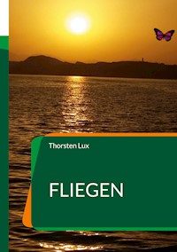 Fliegen - Thorsten Lux - E-Book