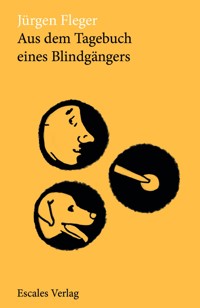 Aus dem Tagebuch eines Blindgängers - Jürgen Fleger - E-Book