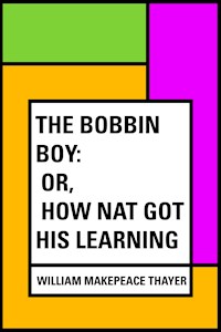 The Bobbin Boy: or, How Nat Got His learning - William Makepeace Thayer - E-Book